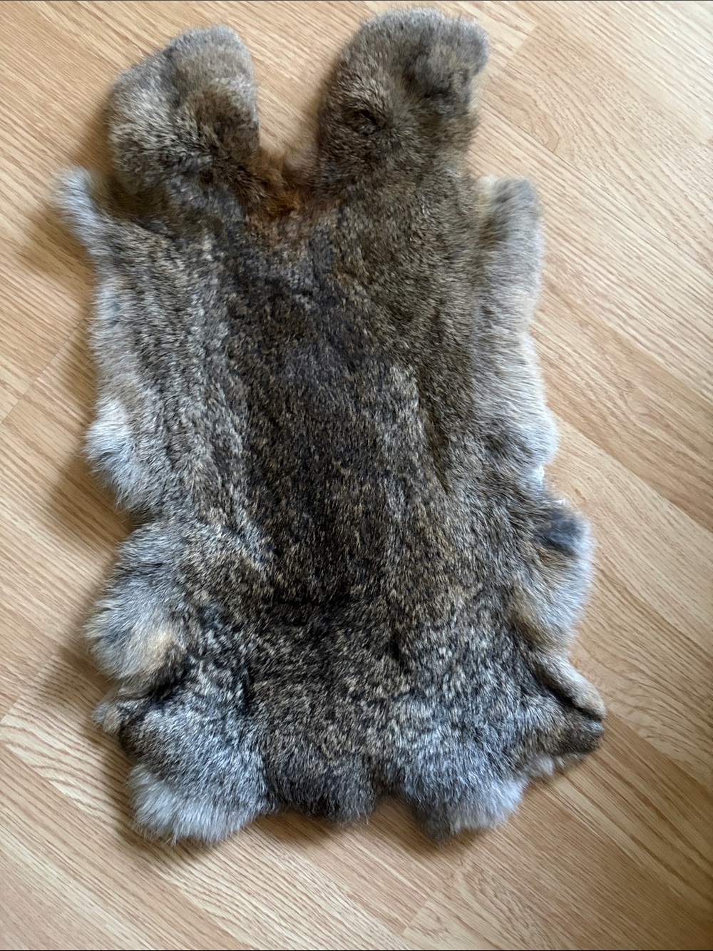 B0101 rabbit pelt- Brown Gray Tones
